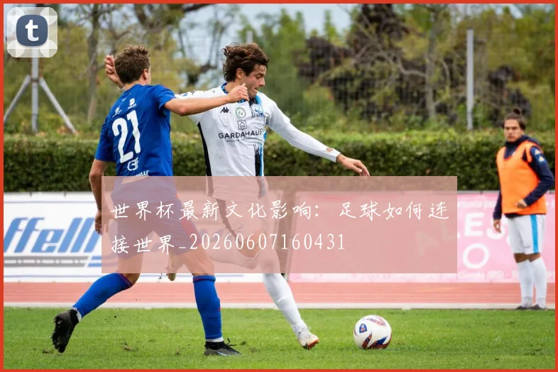 世界杯最新文化影响：足球如何连接世界_20260607160431