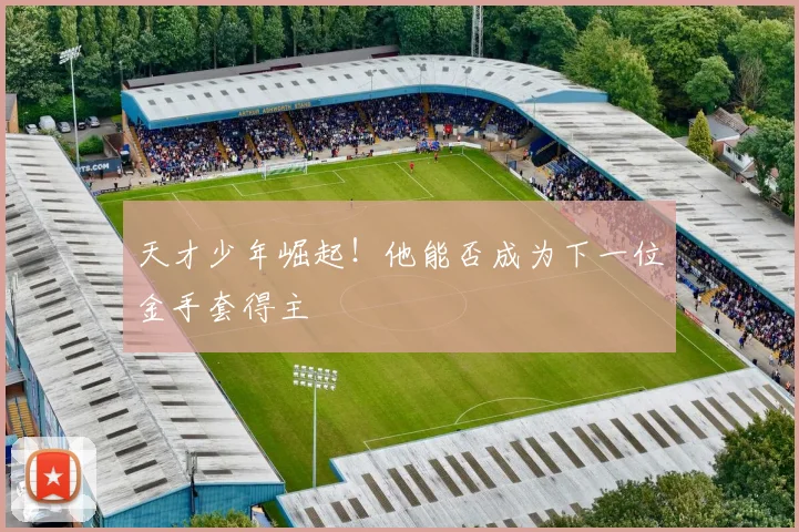 天才少年崛起！他能否成为下一位金手套得主