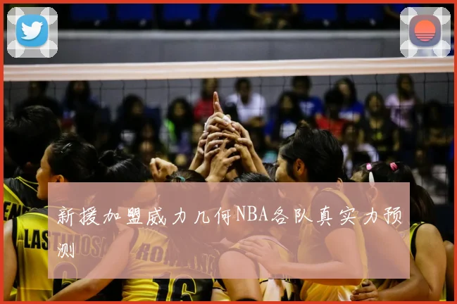 新援加盟威力几何NBA各队真实力预测